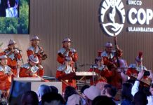 El 40% de las tierras del planeta están degradadas: la COP17 busca soluciones en Mongolia