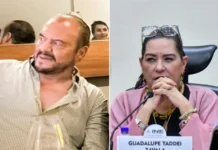 El Rey de Taddei