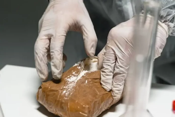 1257035xeu20230209165949