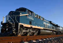 Advierte SelvameMX efectos dañinos del Tren Maya de Carga