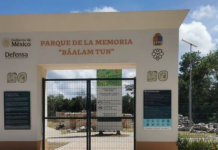 DURANTE OBRAS DEL TREN MAYA EN TRAMOS 6 Y 7: Denunciados ante la FGR 26 funcionarios del INAH por desmantelamiento y alteración de monumentos arqueológicos