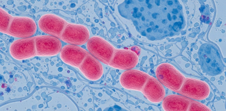 Aumentan en Europa los casos de gonorrea resistente a medicamentos