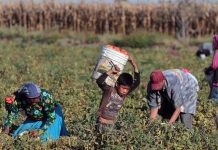 EU oficializa arancel de 10% a México por productos de trabajo forzado en plena revisión del T-MEC