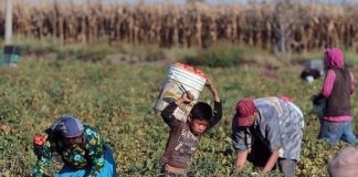 EU oficializa arancel de 10% a México por productos de trabajo forzado en plena revisión del T-MEC