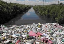 ¿Cuáles son los ríos más contaminados de México? Esto es lo que se sabe del plan para rescatarlos