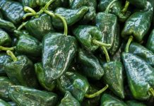 El chile poblano se encarece hasta 105 pesos por kilo en esta temporada de Chiles en Nogada