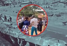 Encuentran muertos a 24 estudiantes dentro de un autobús escolar en plena carretera; volvían de una excursión