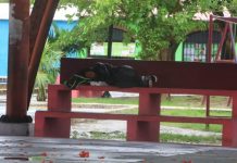 Baja remisiones a Juzgados Cívicos de personas en situación de calle en Cancún