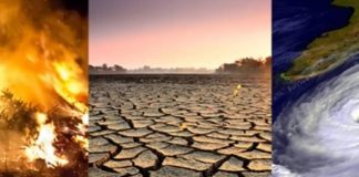 ‘Inversión ambiental, impostergable’