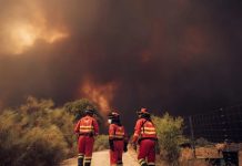 El círculo vicioso que dispara los incendios: más calor, bosques secos y más CO2