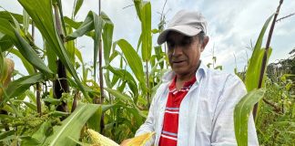 Independencia y soberanía. ¿Y la autosuficiencia alimentaria?
