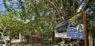 Hallan 16 nuevas especies de peces en Chacmuchuch-Manatí, clave para la repoblación de arrecifes